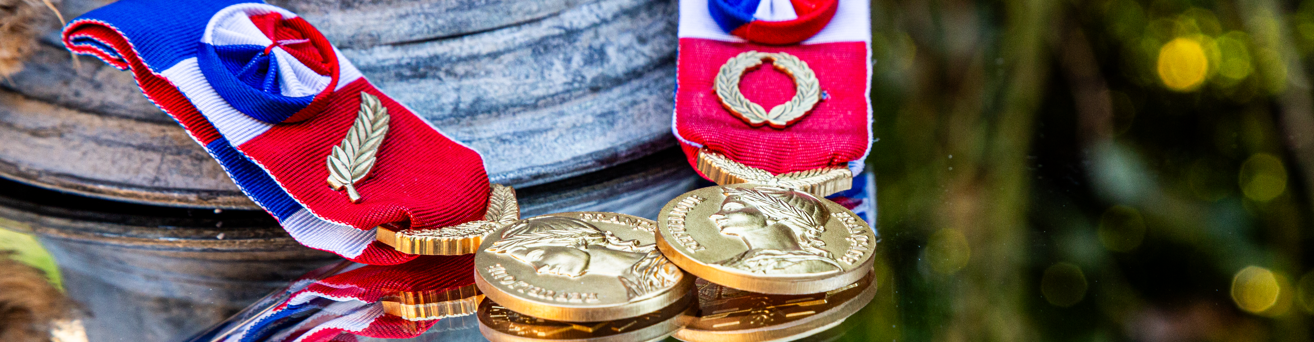 Médaille du travail expatriés et outre-mer