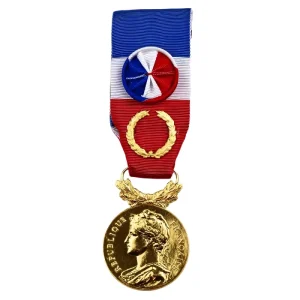 argent massif plaque or monnaie de paris