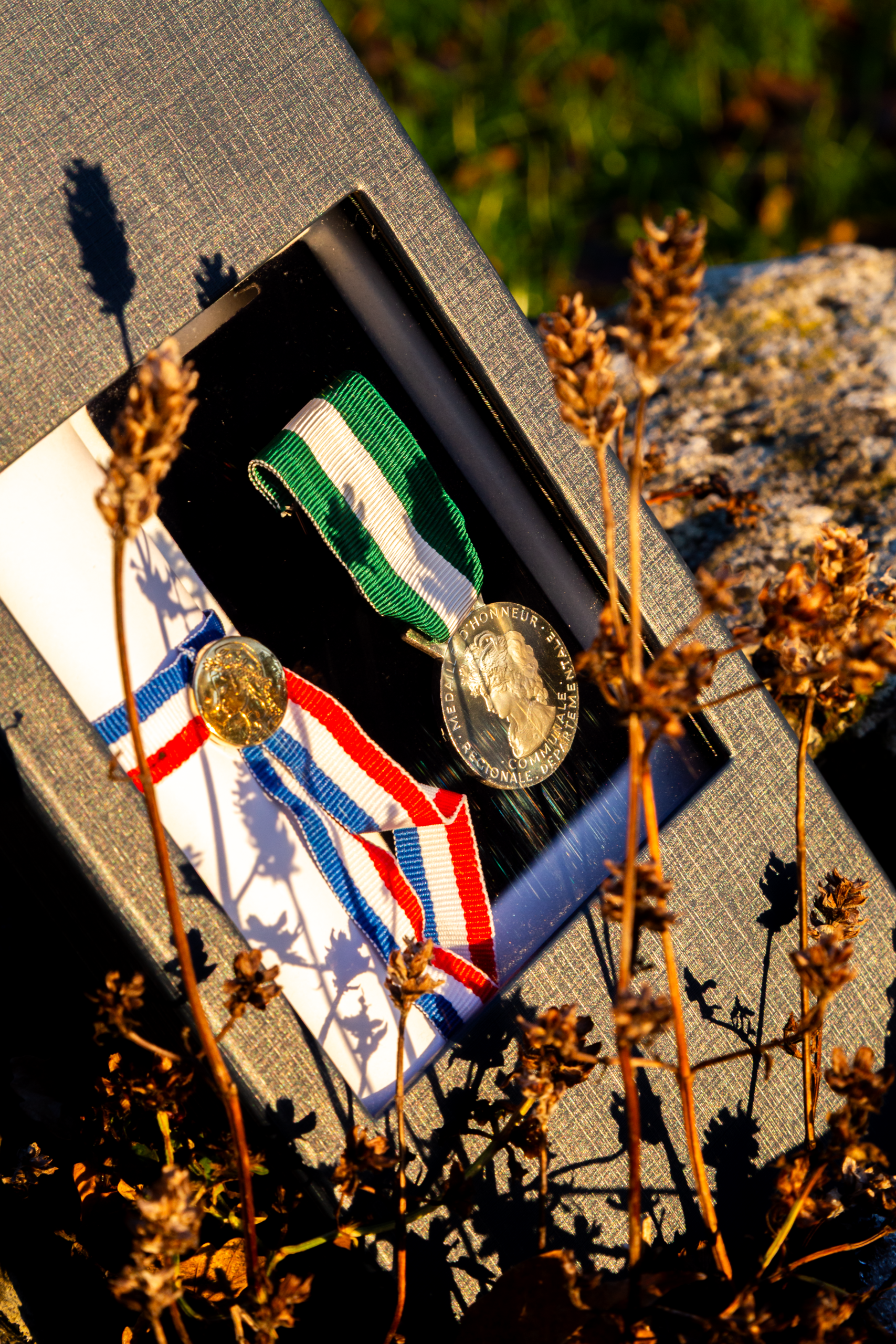Médaille du travail Vermeil 30 ans - médaille d'honneur du travail échelon vermeil
