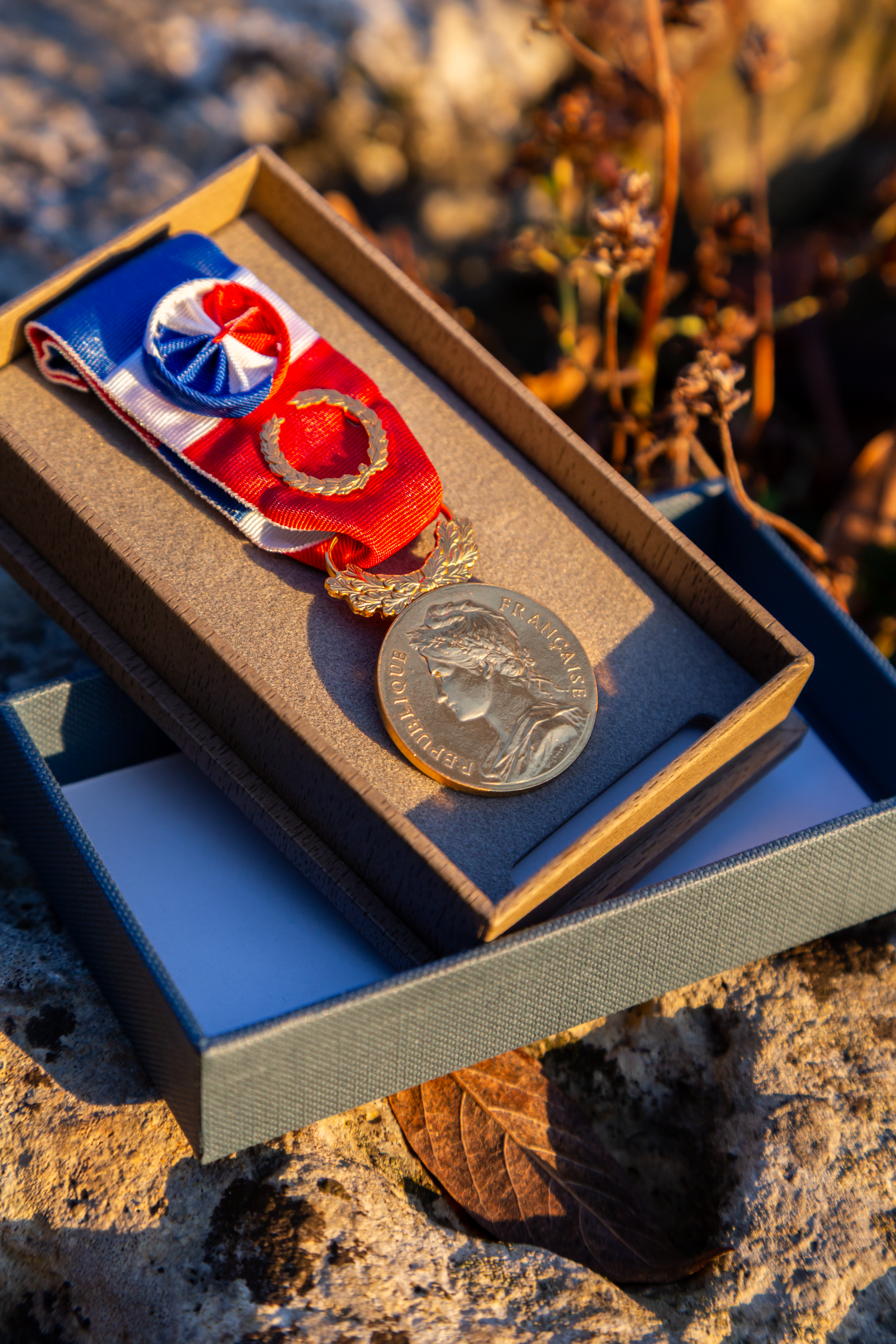 Médaille du travail Or 35 ans - médaille d'honneur du travail échelon or palme de laurier