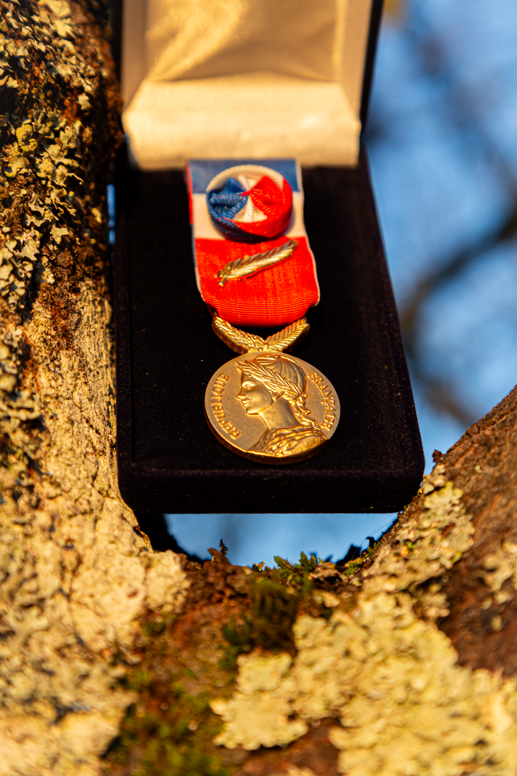 Médaille du travail 20 ans échelon argent - médaille d'honneur du travail